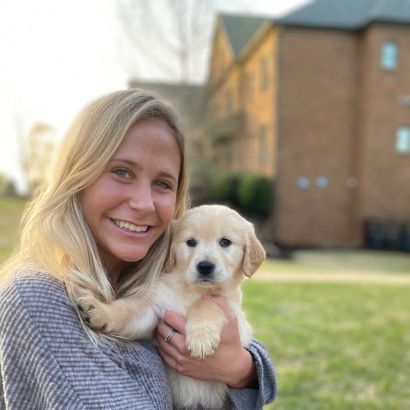 Meet your Posher, Bailey - Picture 1 of 1